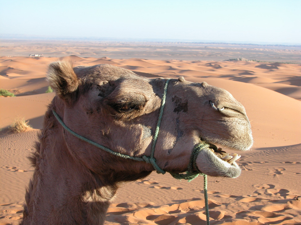 Dopo lo zambia... MAROCCO